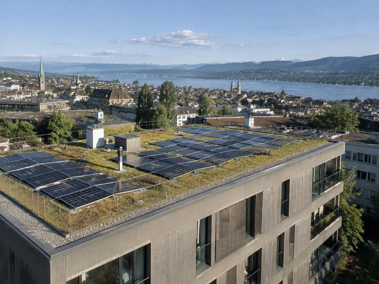 Photovoltaikanlage auf begrüntem Flachdach mit Blick über Zürich